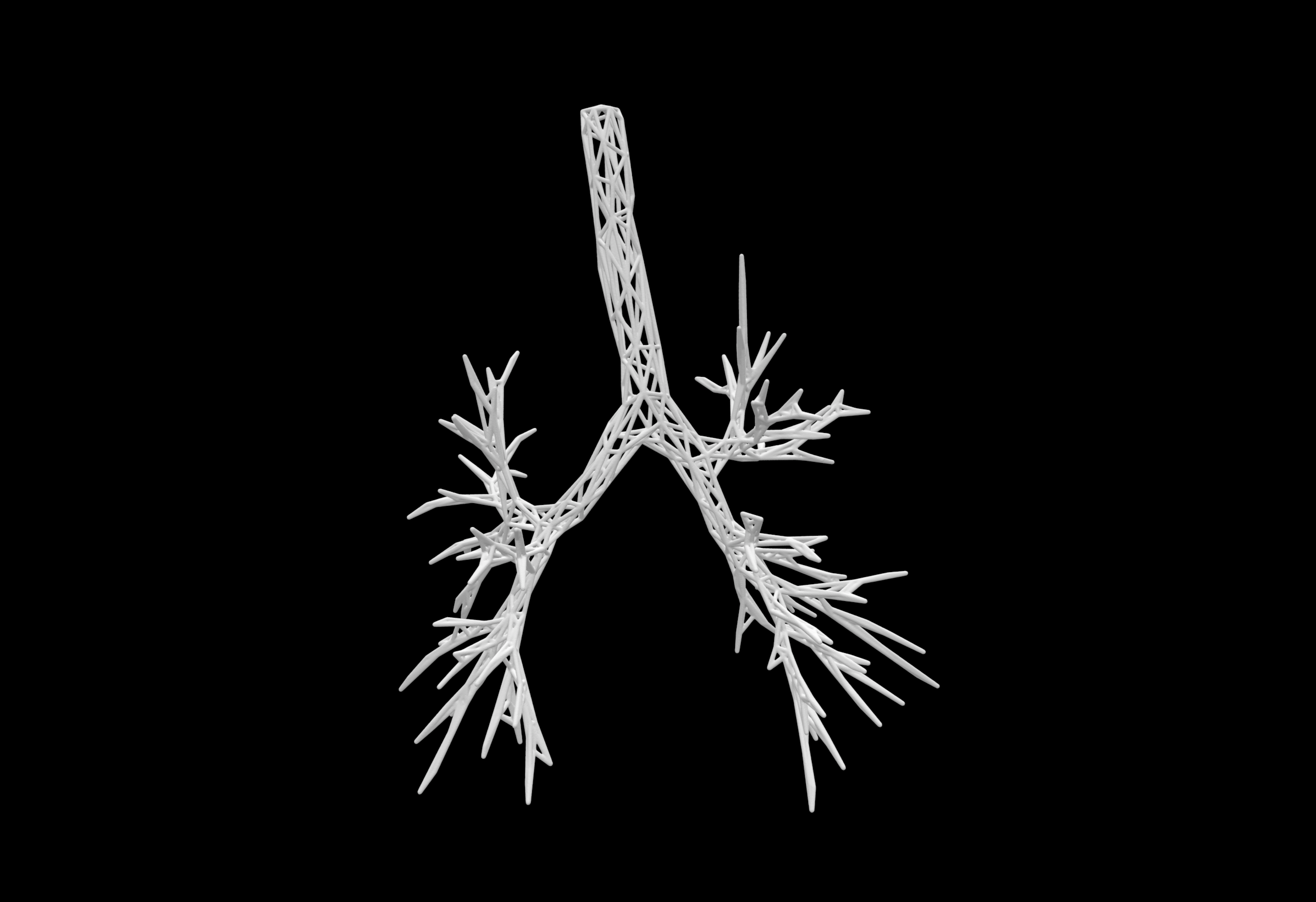 Wireframe airway model