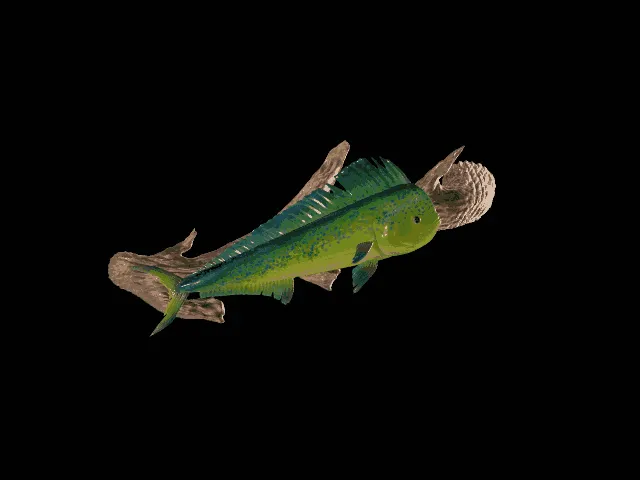 Mahi-Mahi Sculpture on Branch Base