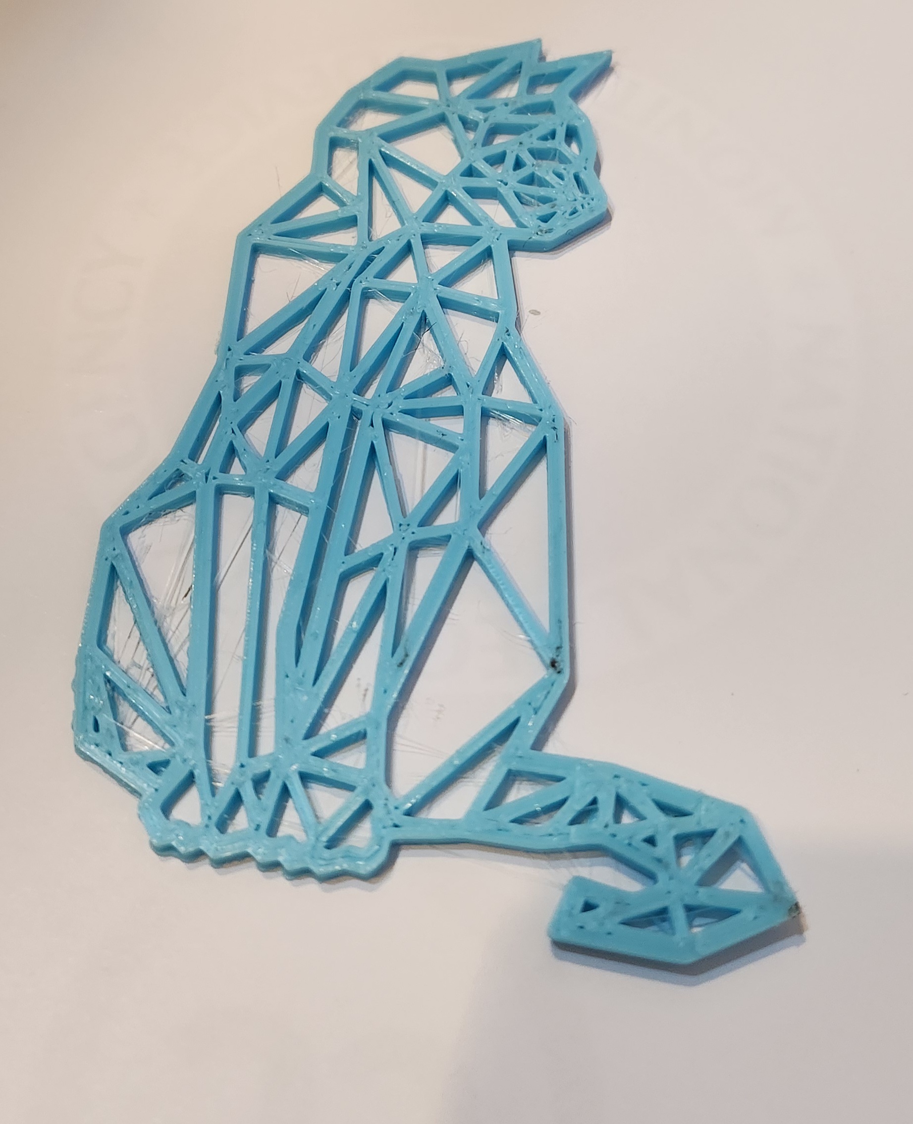 Voronoi flat cat