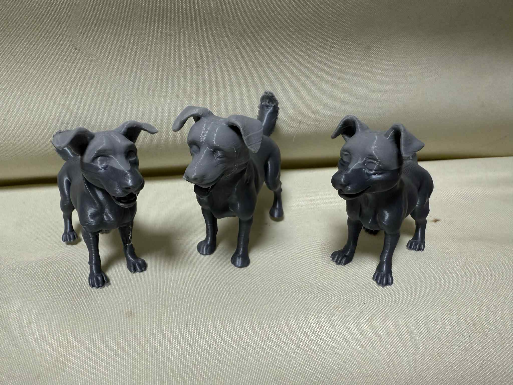 Beautiful dogs