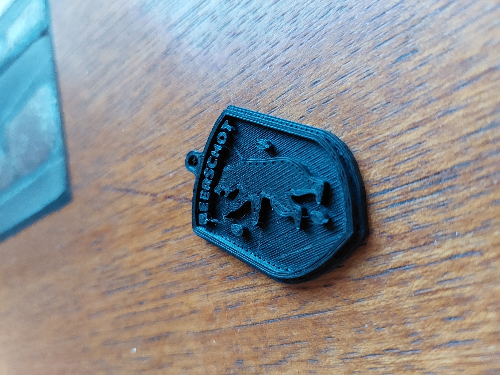 Beerschot Keychain