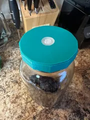 Wide mouth jar lid with degassing valve (Mason Jar)