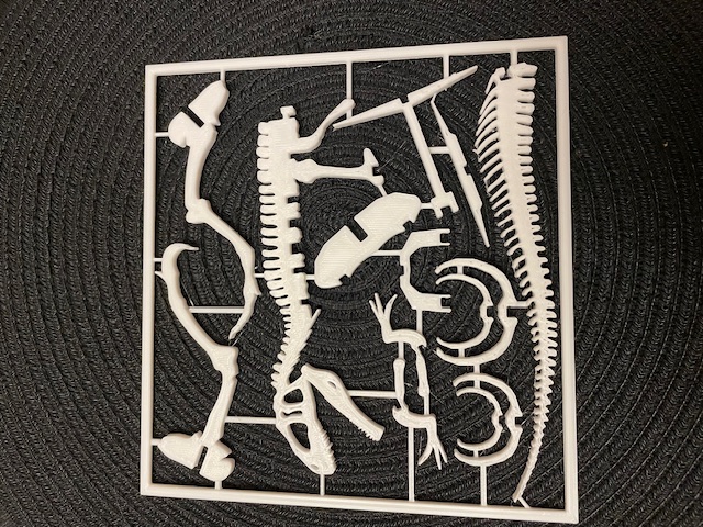 Giganotosaurus Dinosaur Kit Card_Remake