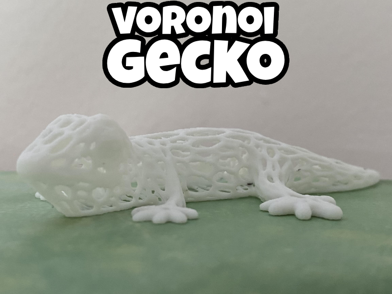 Voronoi Gecko