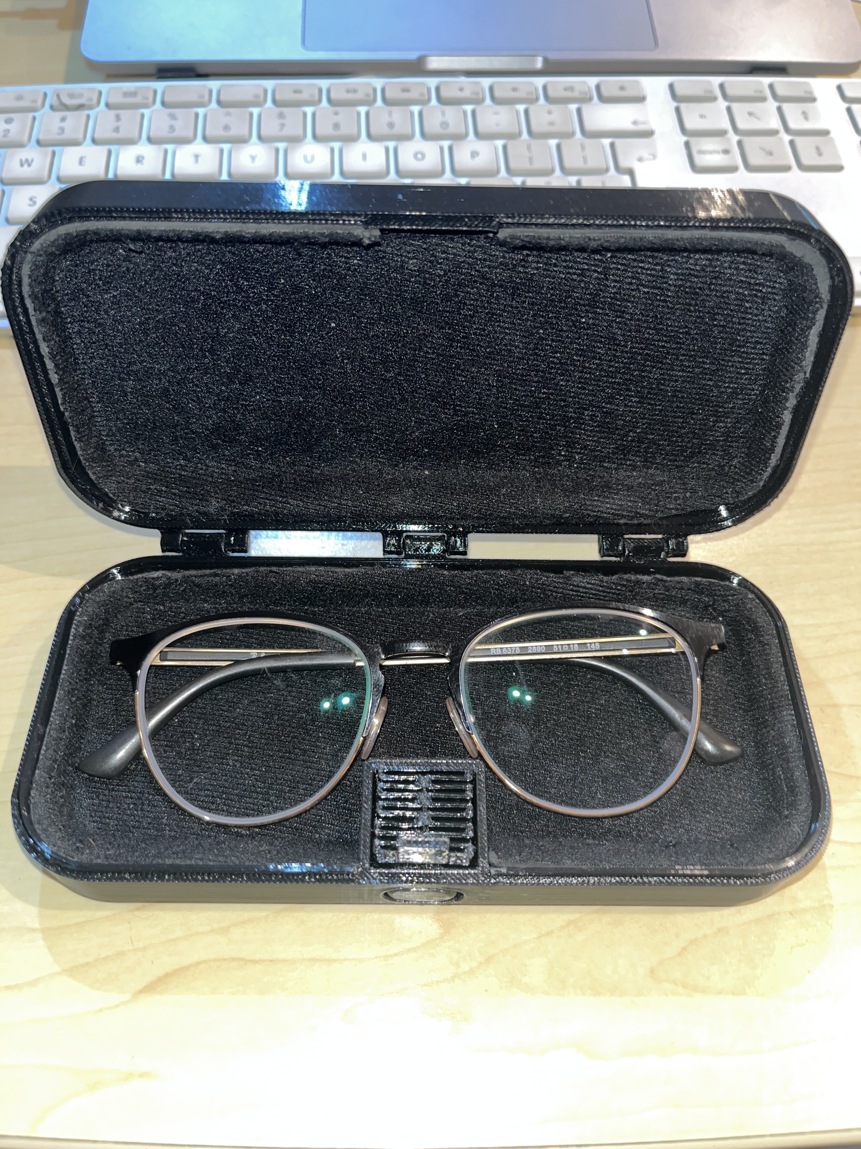 Glasses Case (PIP)
