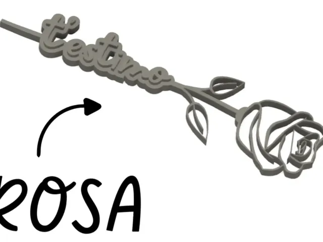 Rosa