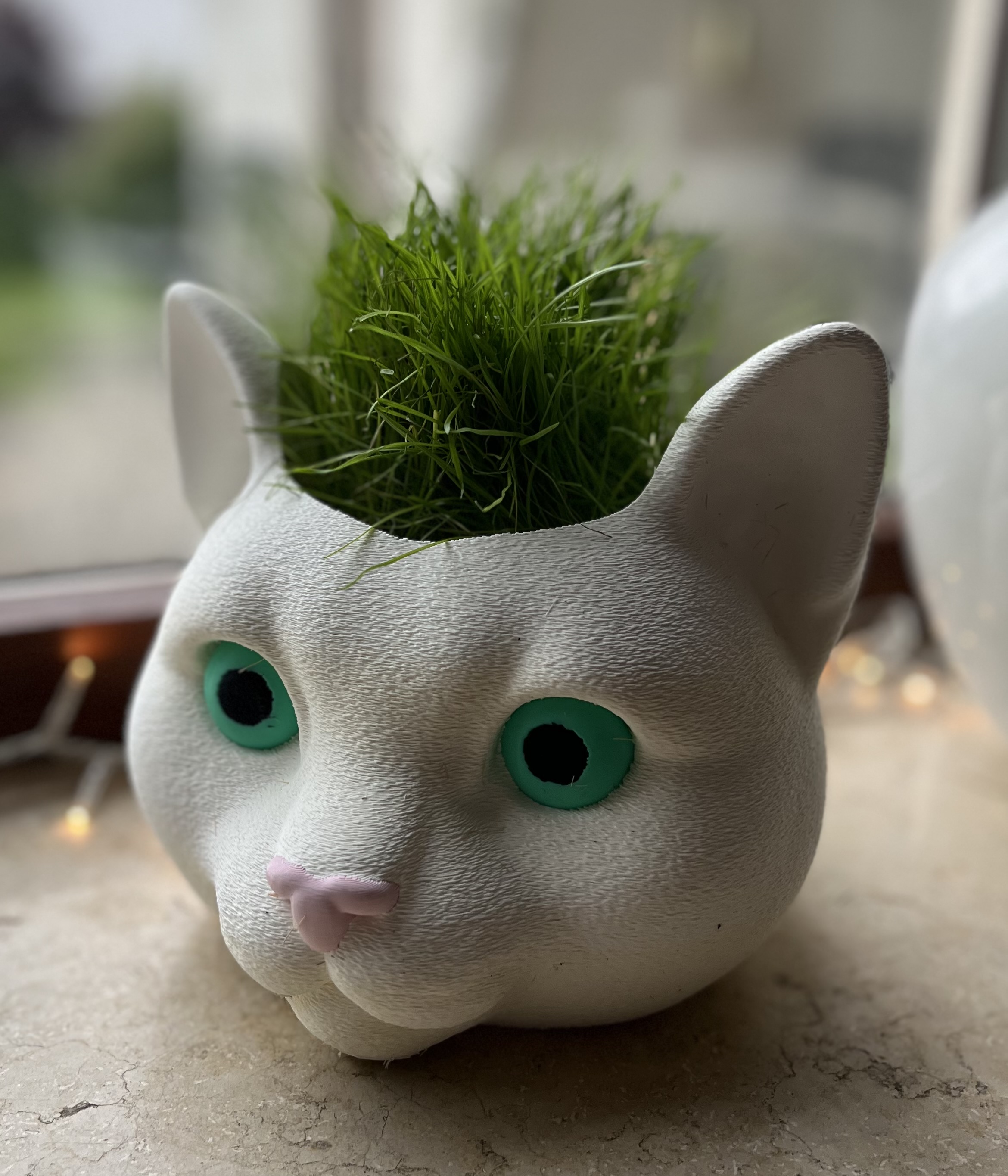 Whisker Planter - Cat Grass Pot - Cat Head