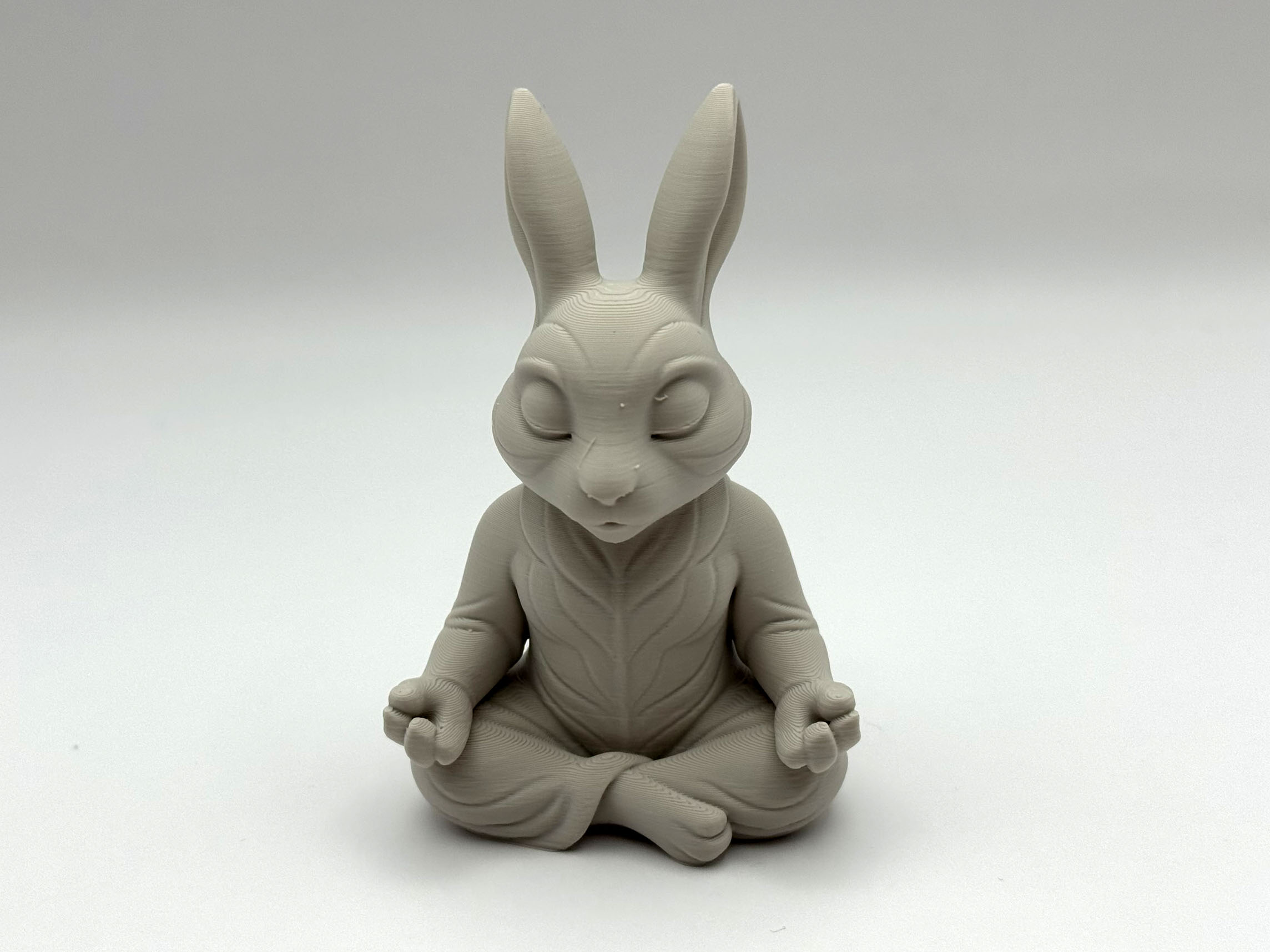 Zen Bunnie