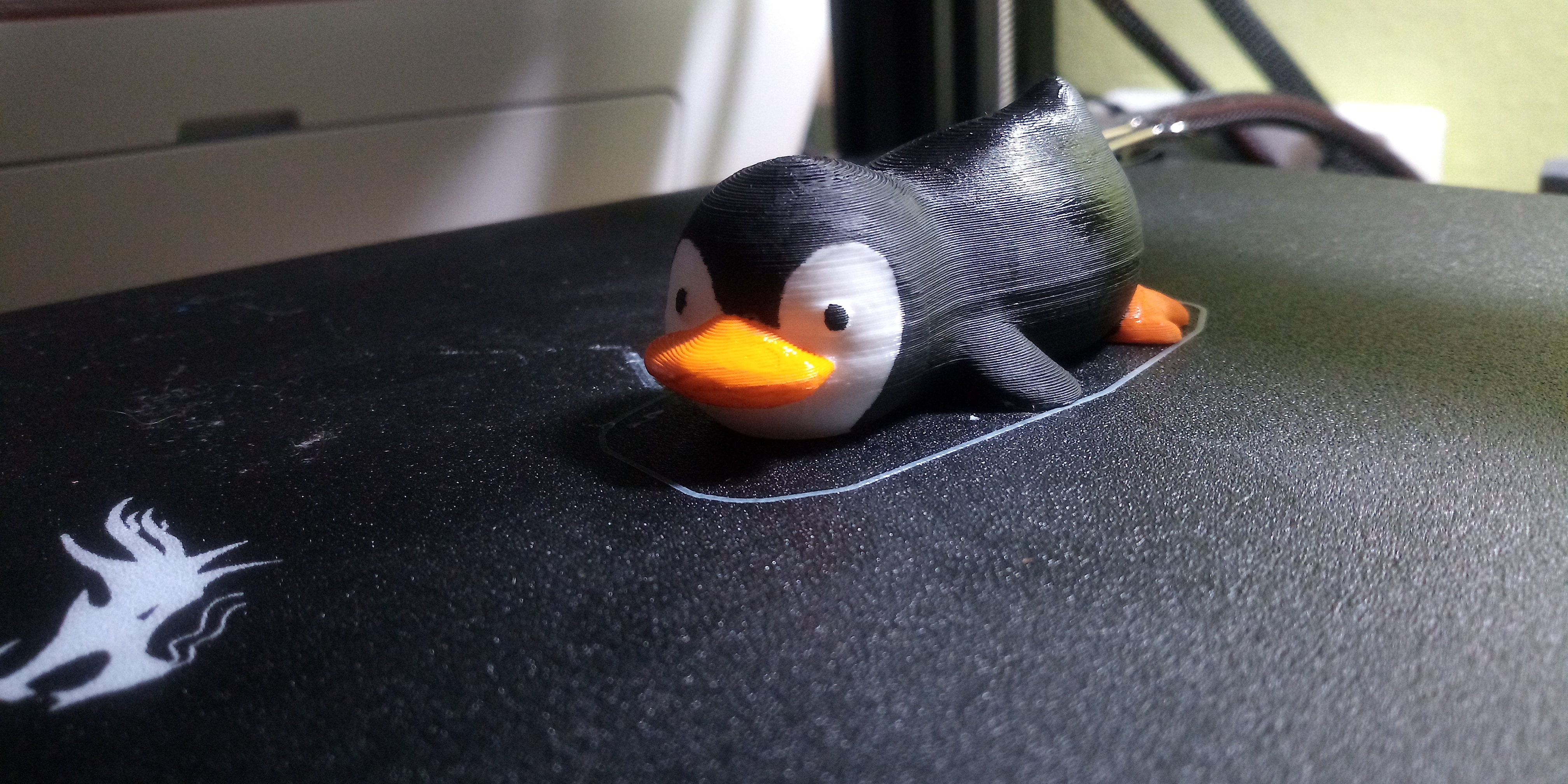 Lazy penguin