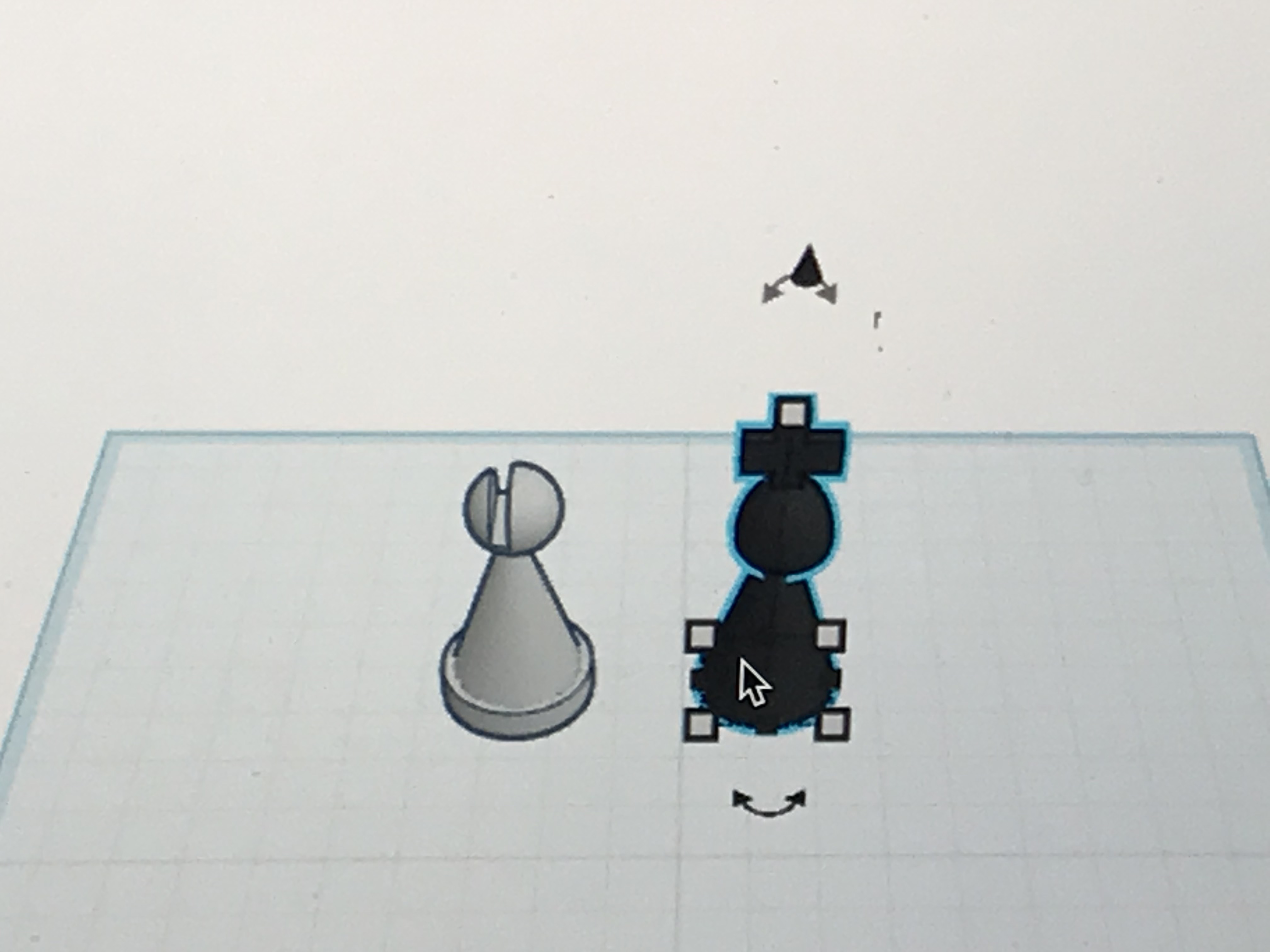 simple chess king and bishop
