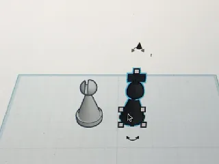 simple chess king and bishop
