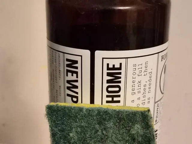 Sponge holder with or without soap holder