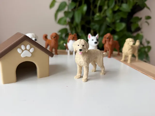 Goldendoodle