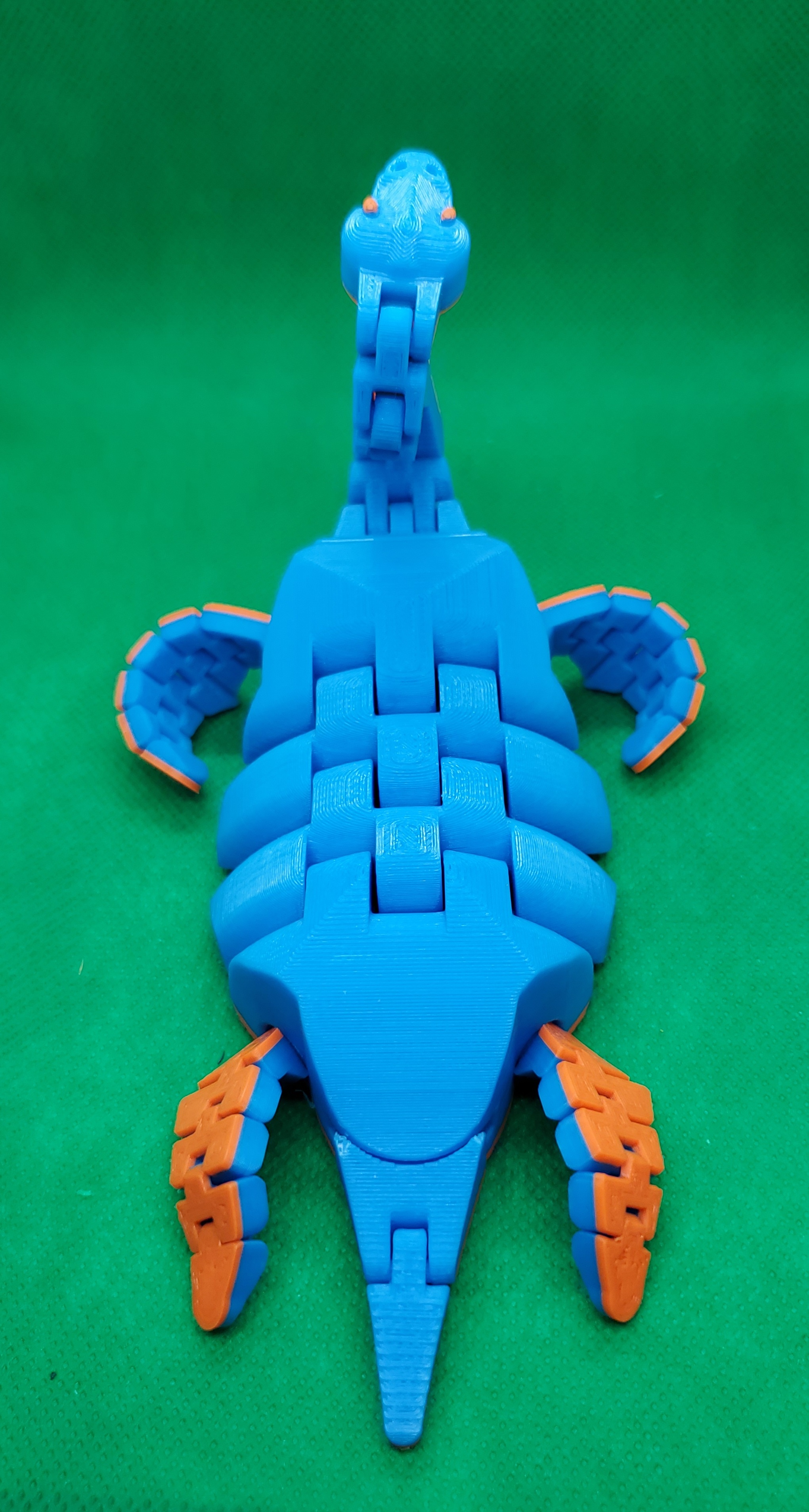 Articulated Plesiosaur