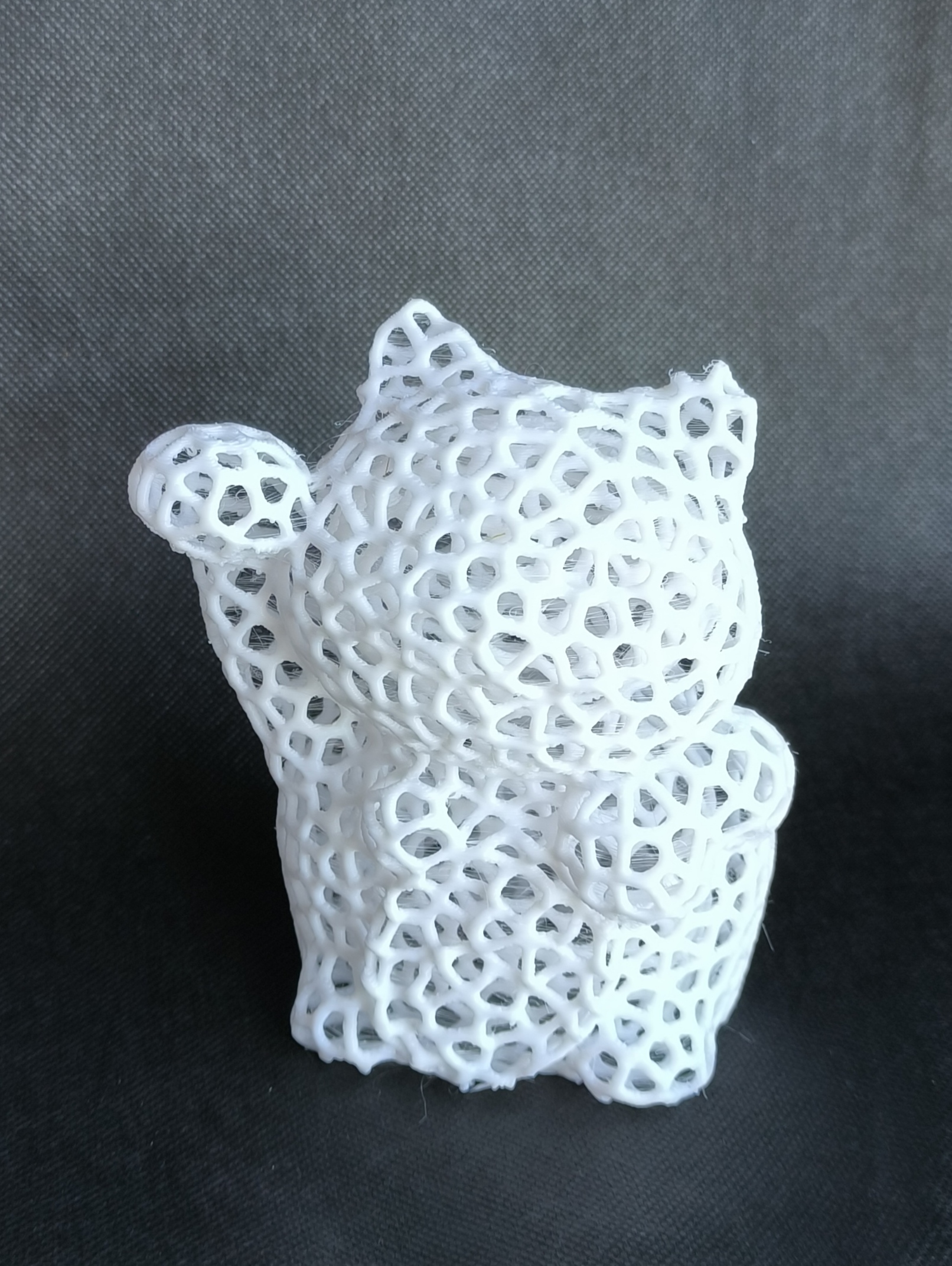 Money cat Voronoi