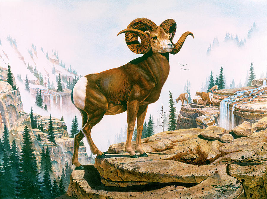 Rocky Mountain Bighorn Sheep By Kisoloy Download Free Stl Model