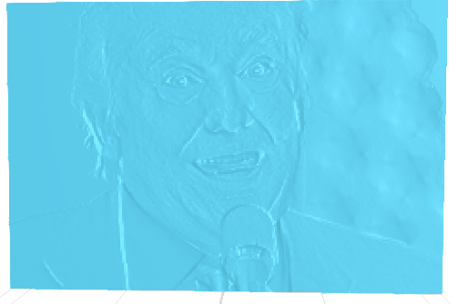 Trump plack