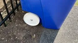 wheel