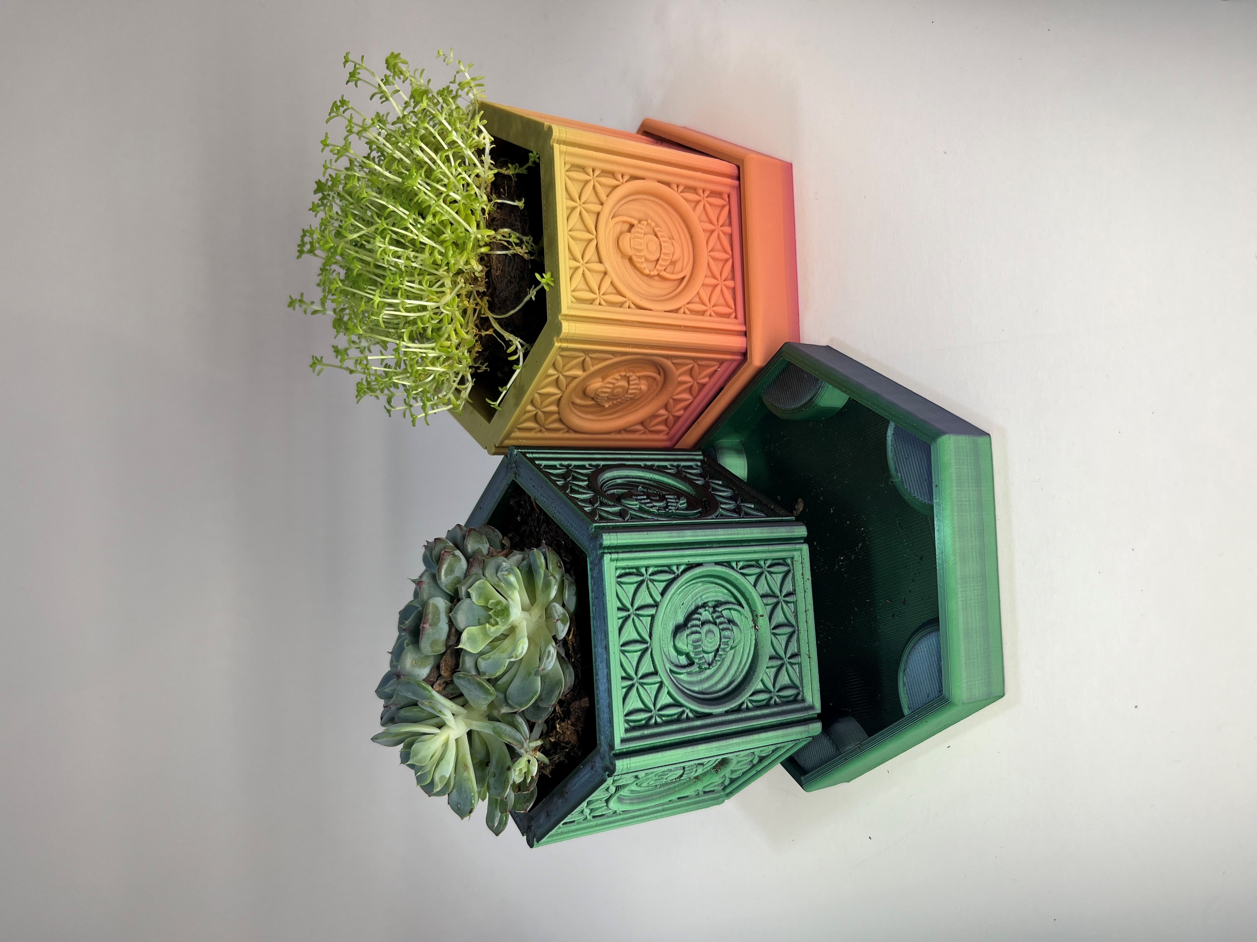 Trippy Little Flower Pot