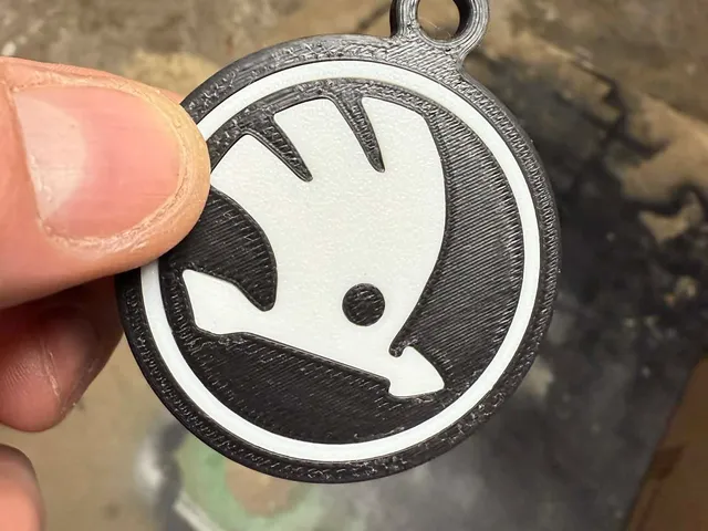 Skoda logo on key, key ring