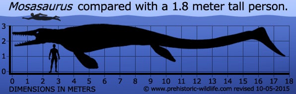 Miniatura 14 do modelo 3D Mosasaurus