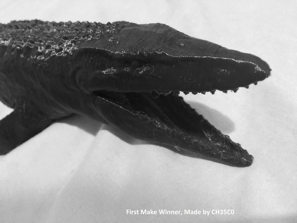 Miniatura 17 do modelo 3D Mosasaurus