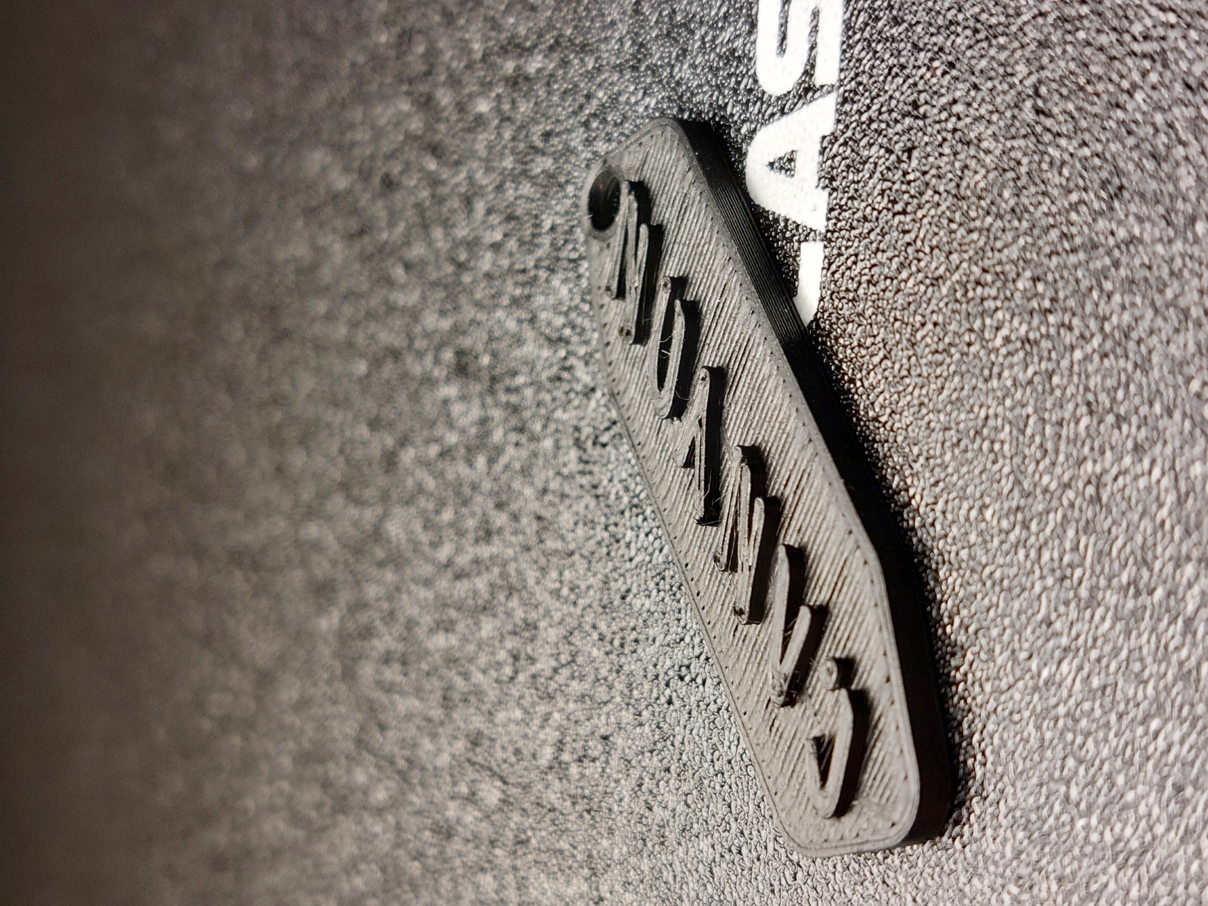 Canyon Logo Keychain
