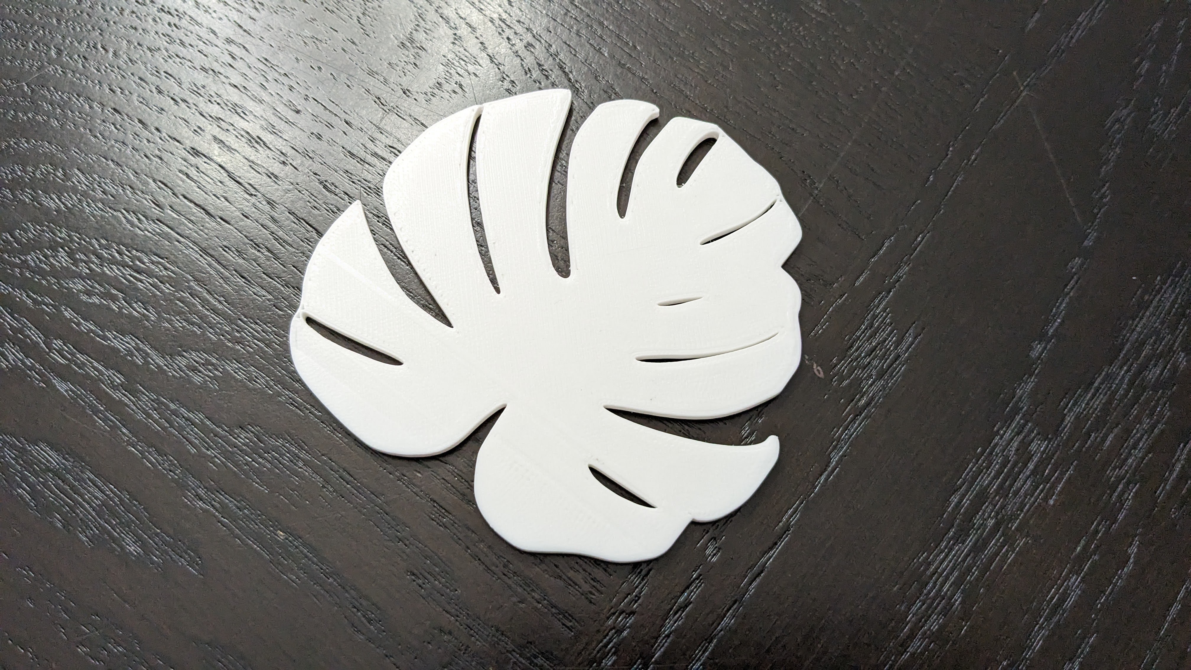 Monstera leaf coaster