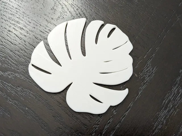 Monstera leaf coaster