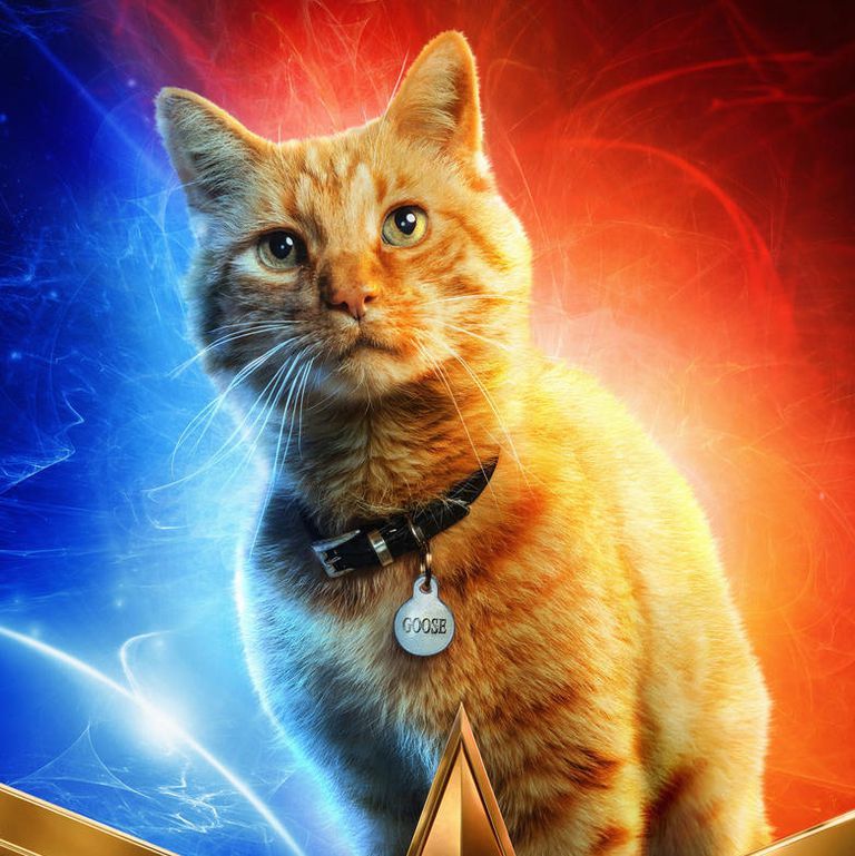 Miniatura 12 do modelo 3D Captain Marvel