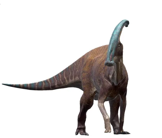 Parasaurolophus