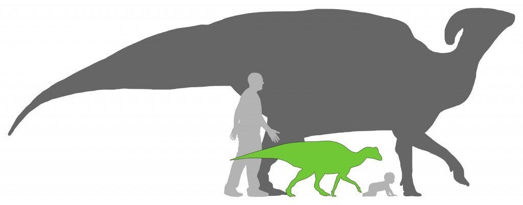 Miniatura 8 do modelo 3D Parasaurolophus