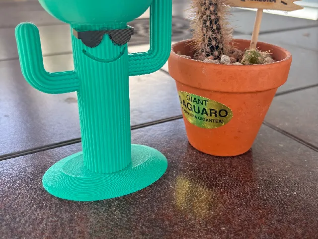 Wild West Cactus