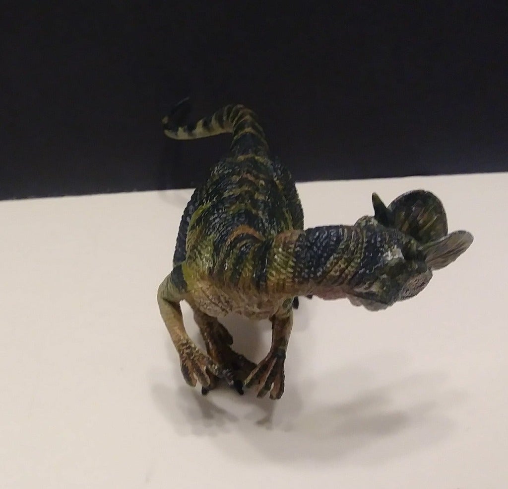Miniatura 12 do modelo 3D Dilophosaurus