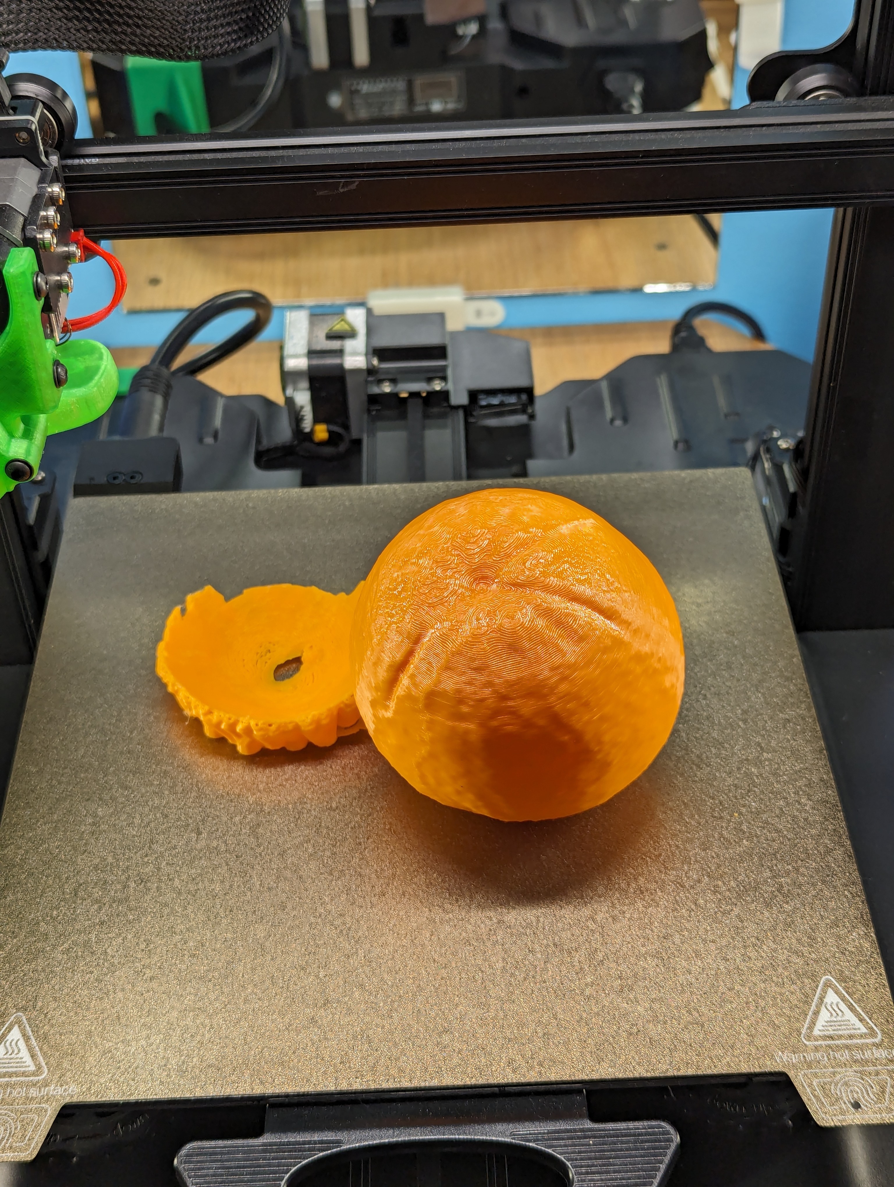 An Orange, navel variety