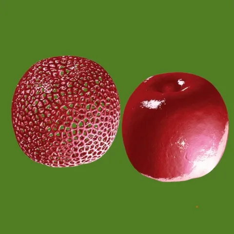 Voronoi effect of a 3D scanned Apple