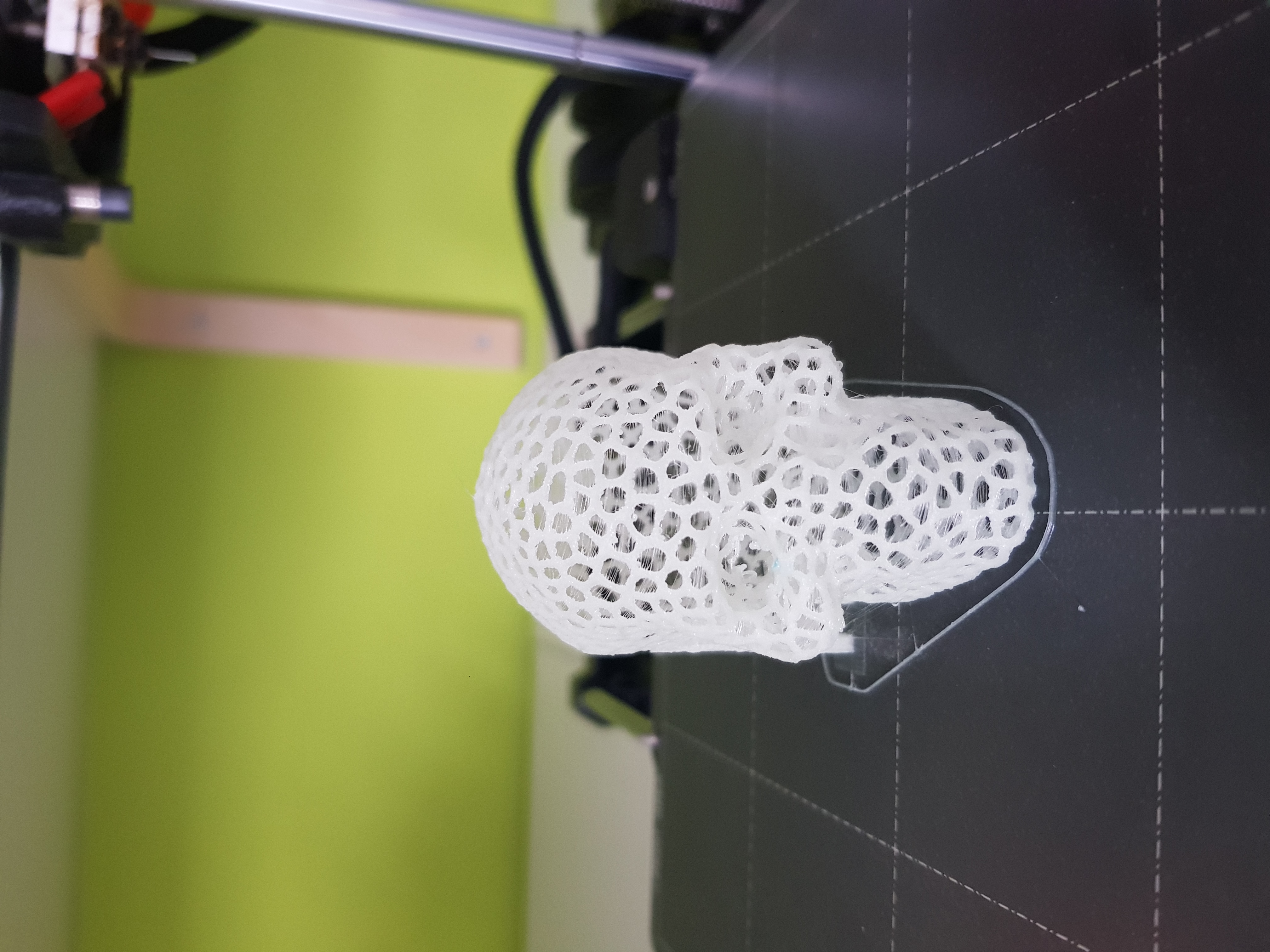 Miniatura 2 do modelo 3D Voronoi Skull