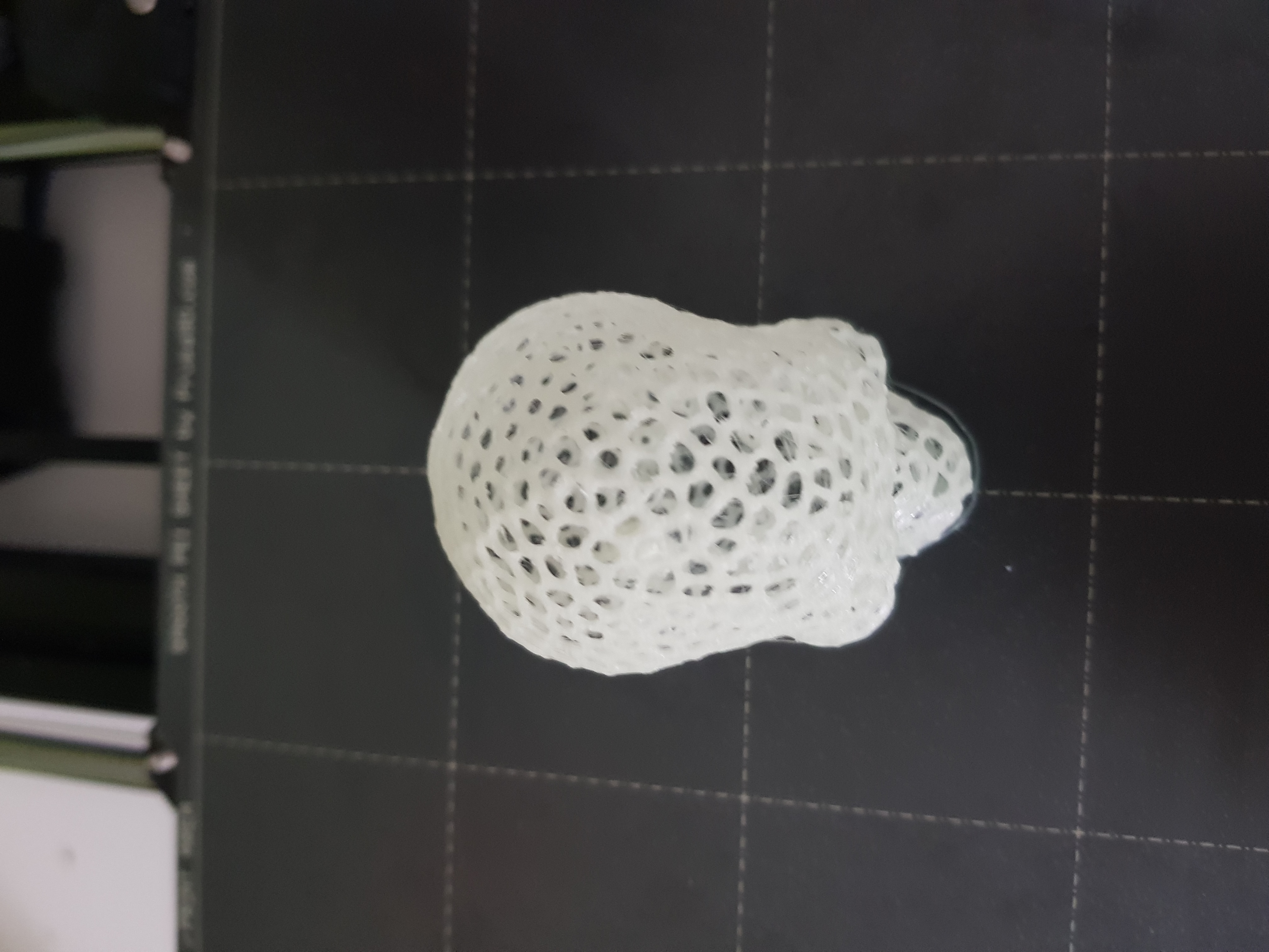 Miniatura 7 do modelo 3D Voronoi Skull