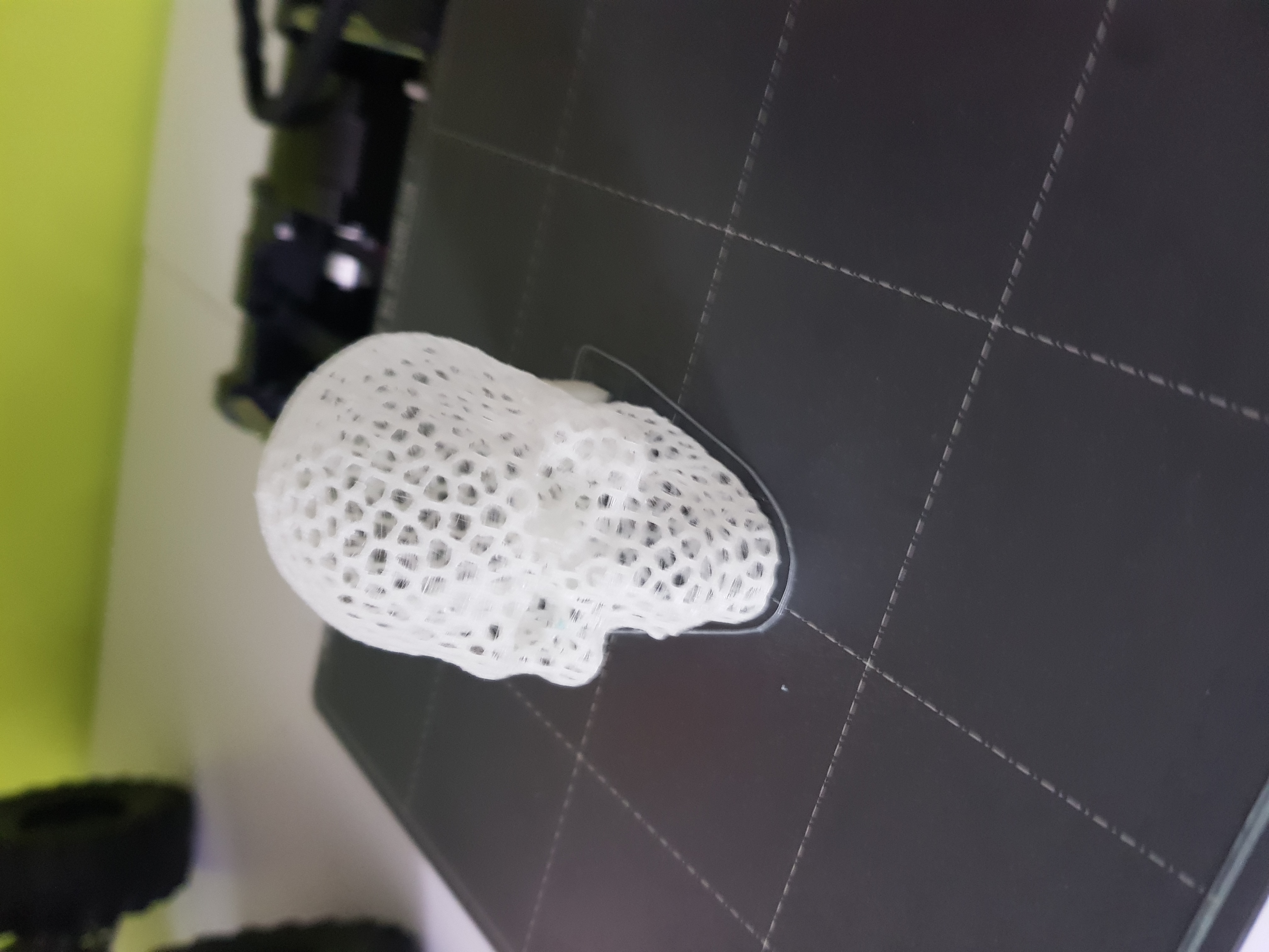 Miniatura 4 do modelo 3D Voronoi Skull