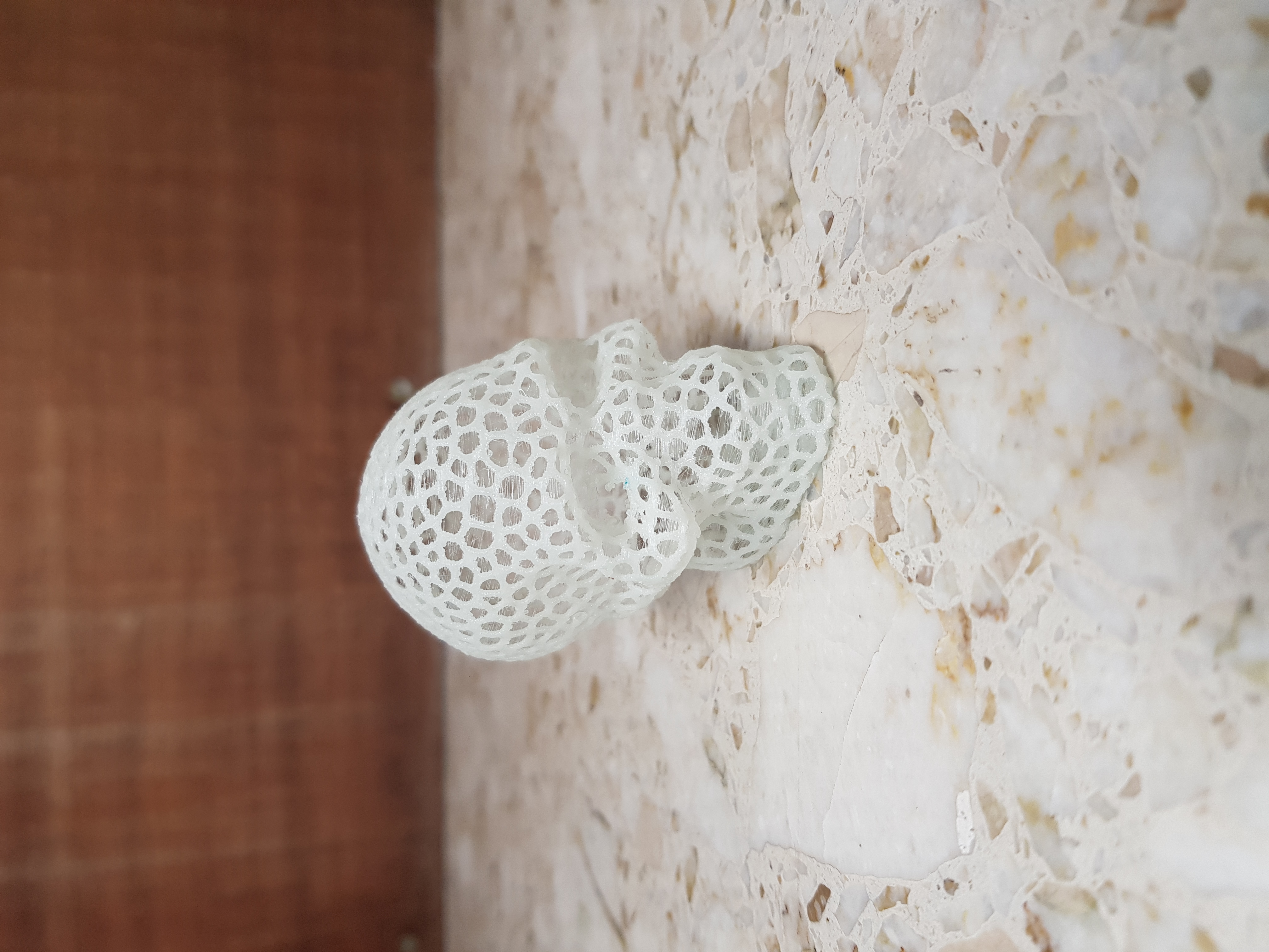 Miniatura 8 do modelo 3D Voronoi Skull