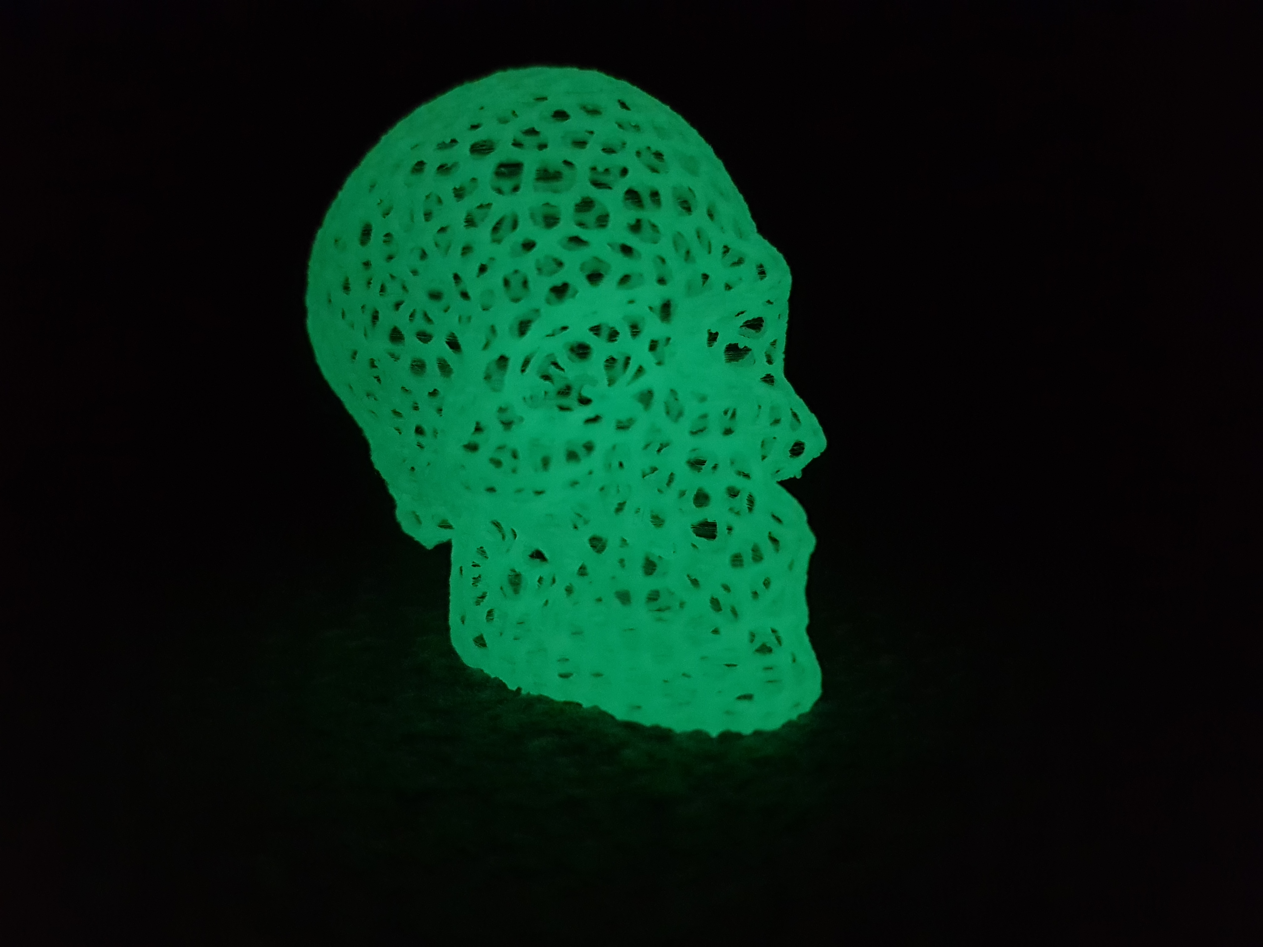 Miniatura 6 do modelo 3D Voronoi Skull