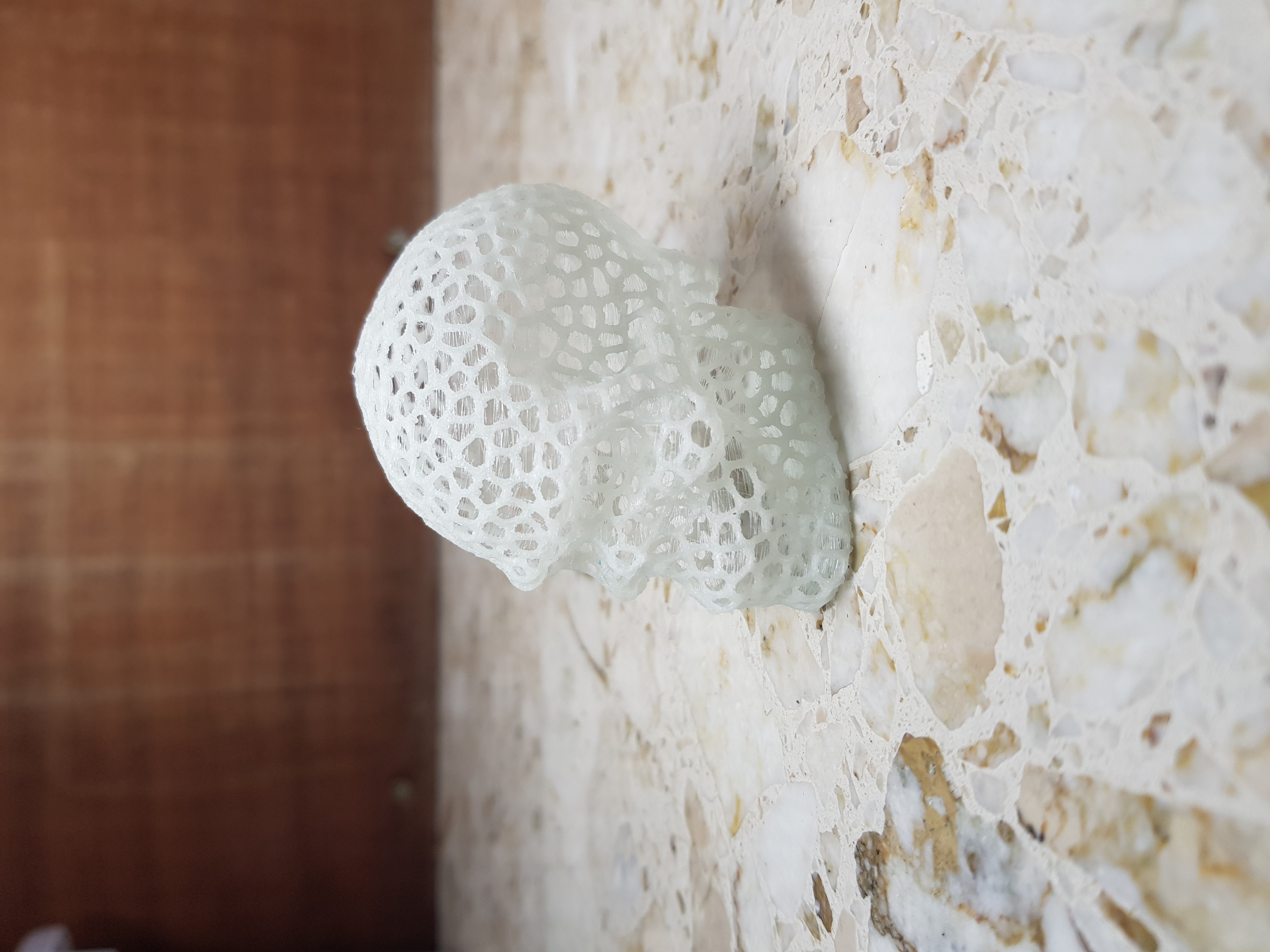 Miniatura 9 do modelo 3D Voronoi Skull