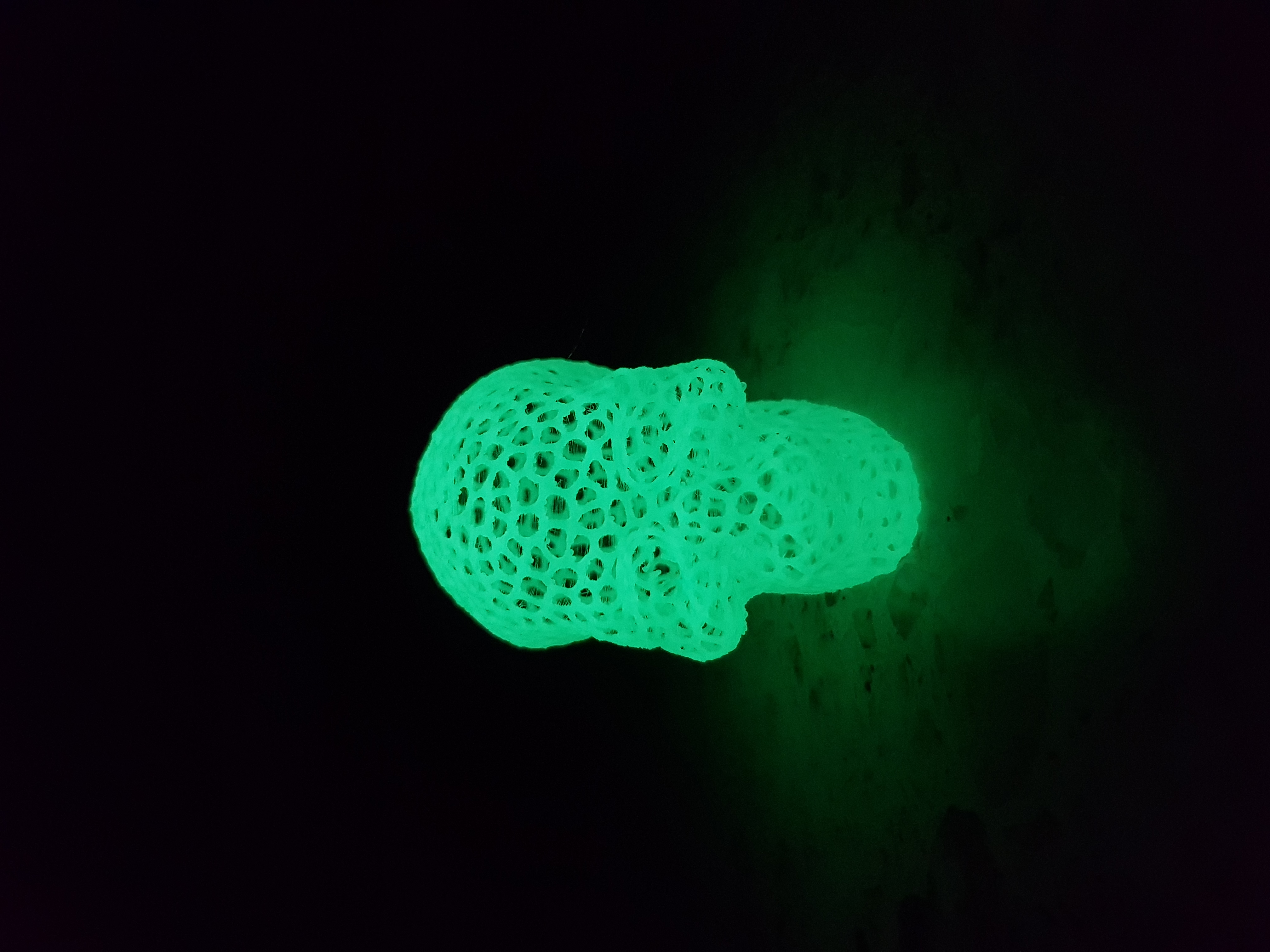 Miniatura 10 do modelo 3D Voronoi Skull