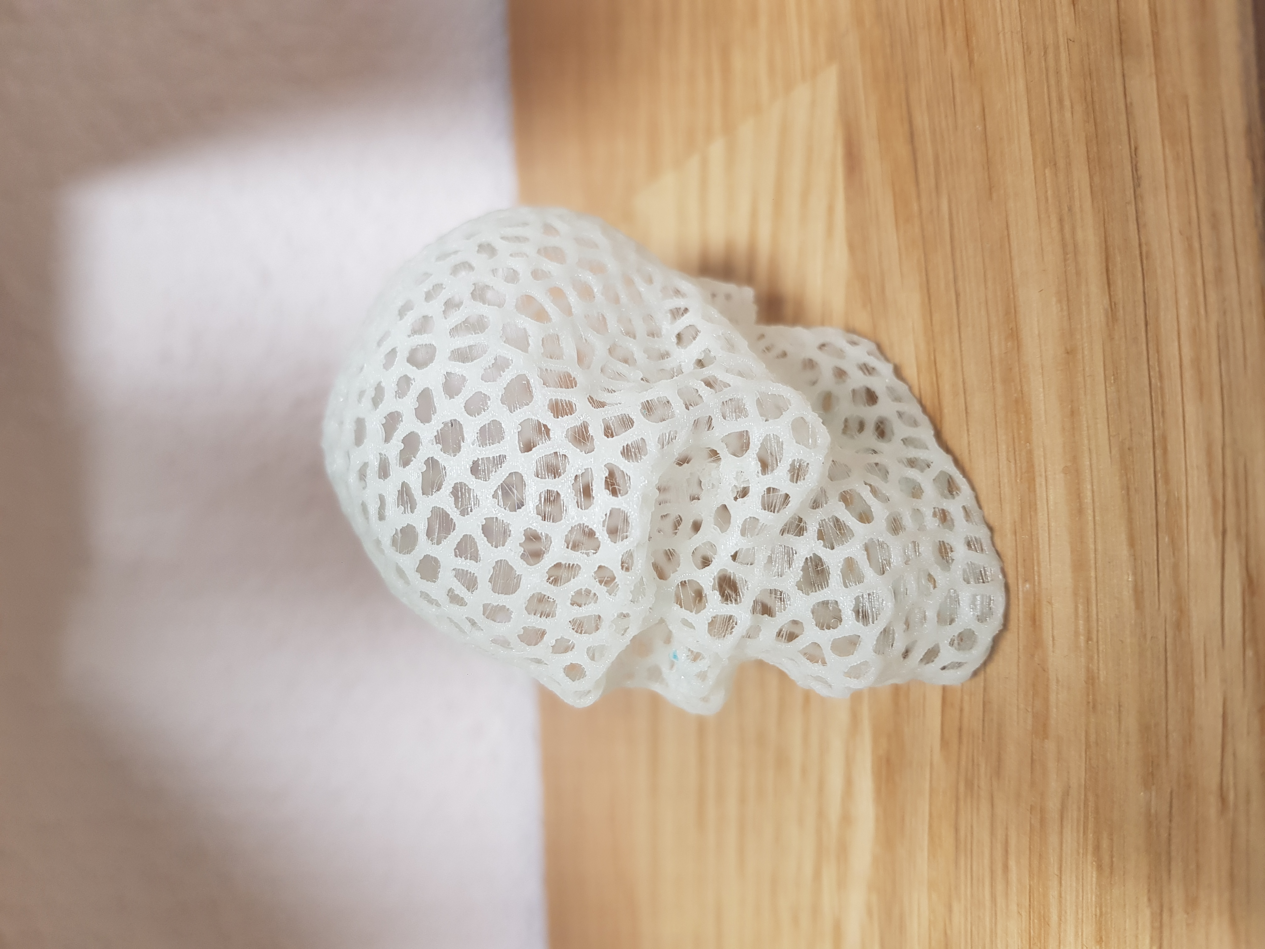 Miniatura 11 do modelo 3D Voronoi Skull