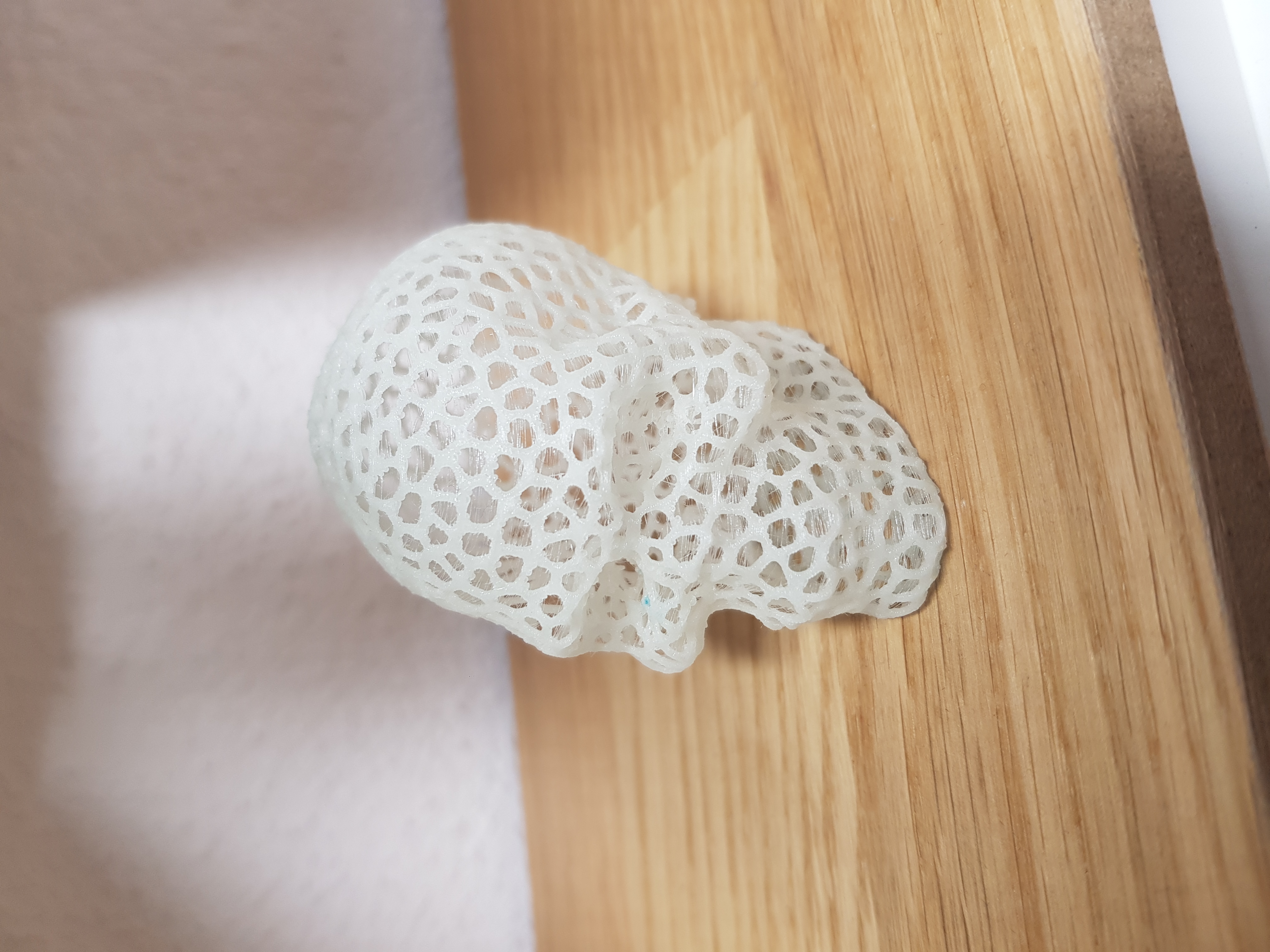 Miniatura 3 do modelo 3D Voronoi Skull