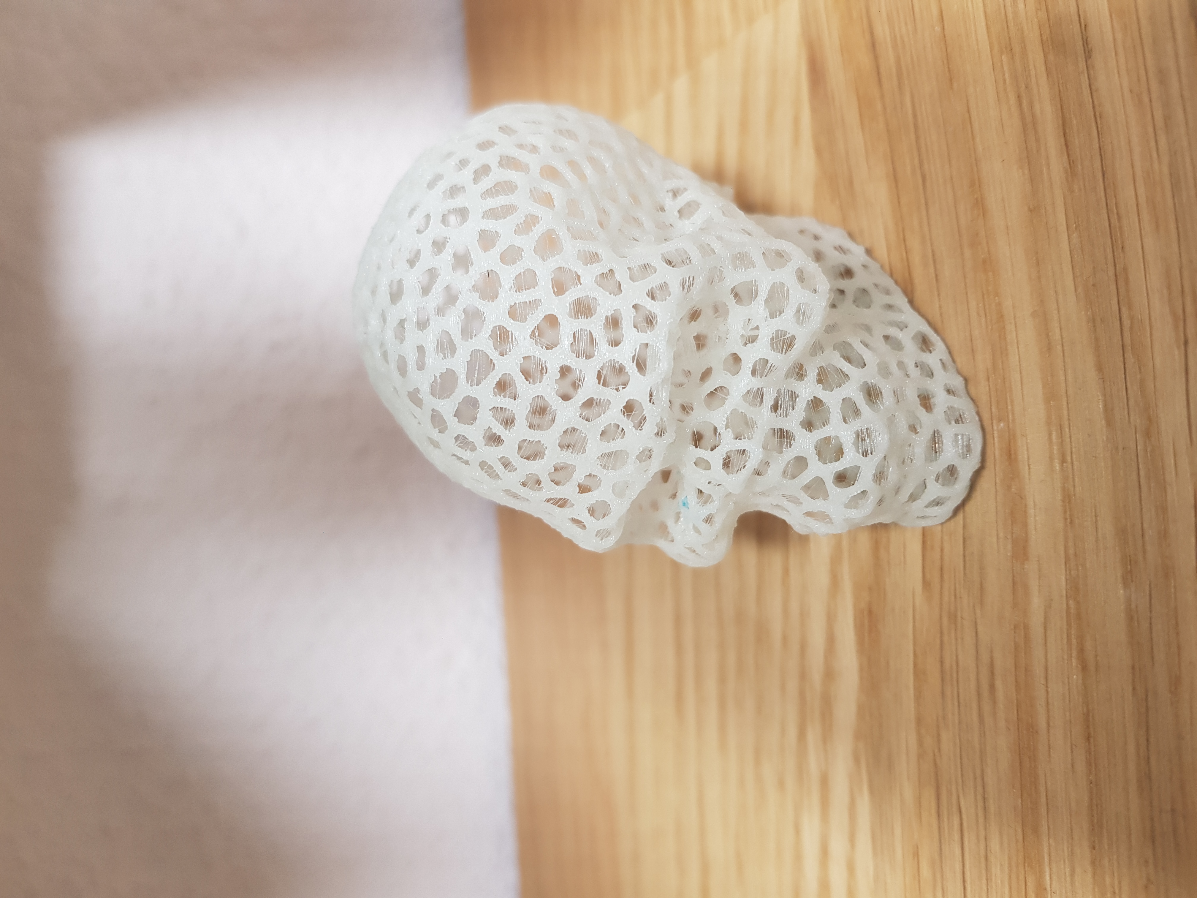 Miniatura 12 do modelo 3D Voronoi Skull
