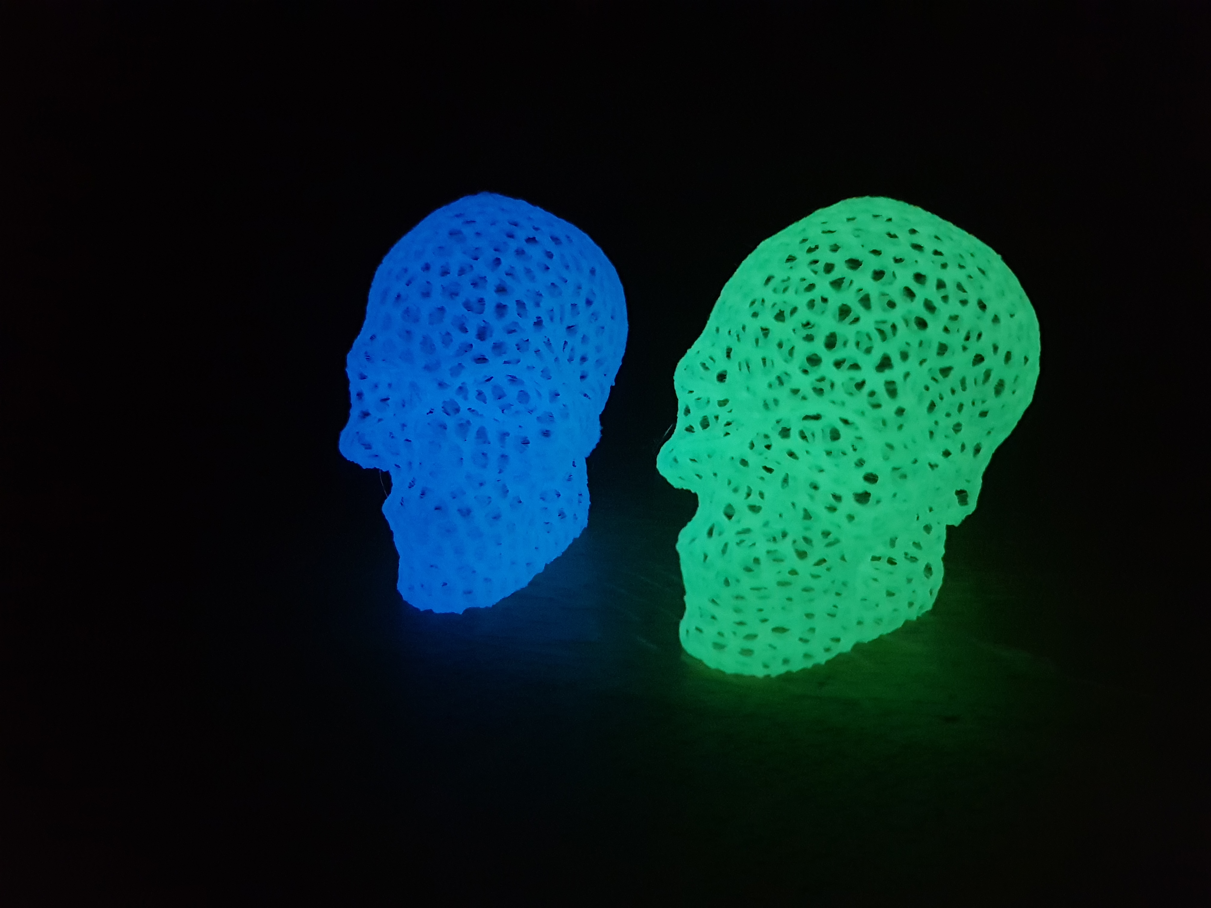 Miniatura 14 do modelo 3D Voronoi Skull