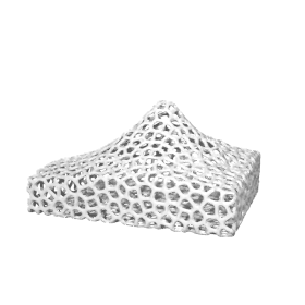 voronoi mount fuji