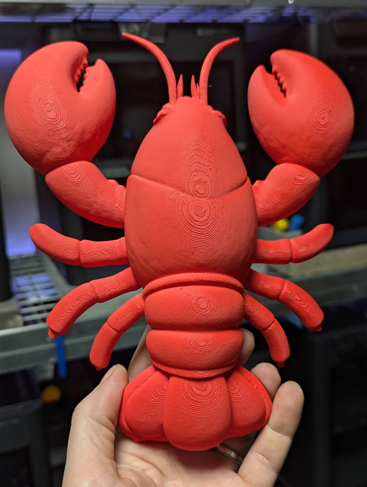 OpenClaw Lobster — miniatura 6