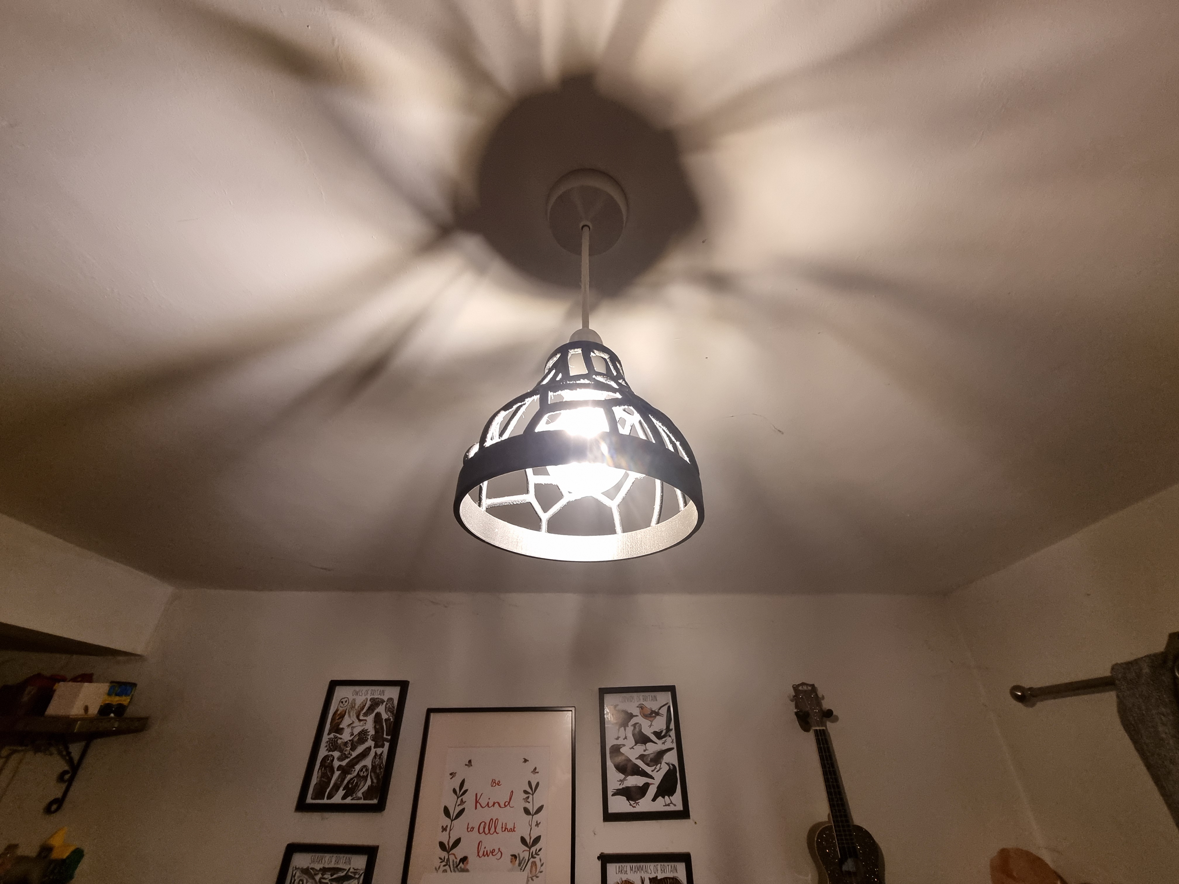 Decorative Voronoi Light shade